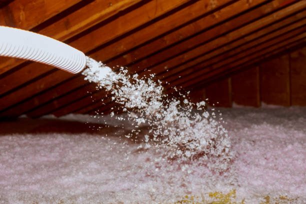 Trusted Coats Bend, AL Insulation Contractor Experts