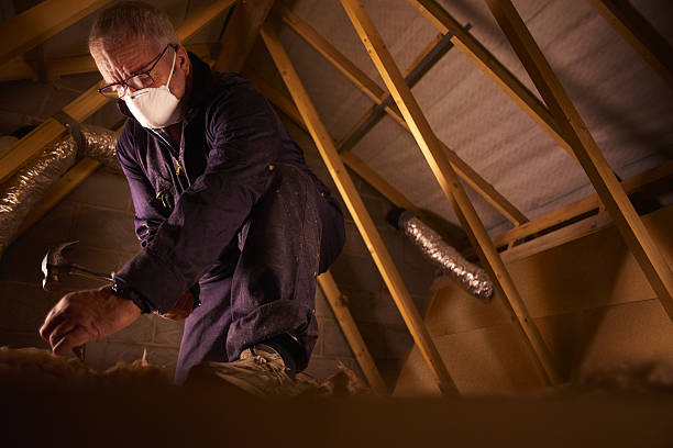 Best Professional Insulation Contractor  in Coats Bend, AL